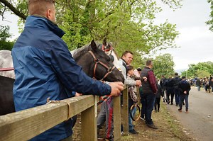 Gypsy and Traveller Suicide and Mental Health Resources - Moving for Change