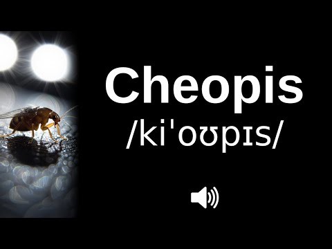 How to pronounce Cheopis (CORRECTLY!)