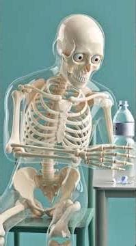 What happens when you DRINK Cold Water After Running #animated #skeleton #facts