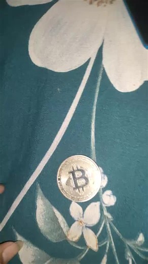 Koin Asli Bitcoin: Temukan Rahasia di Balik NFT!