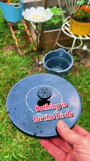 Solar Powered Bird Fountain - Perfect for Your Backyard!