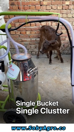 Soby Agro Machinery | ‎Engine Operated Milking Machine | گائے کا دودھ نکالنے والی مشین | #milkingmachineprice #cowmilkingmachine #ʙucketᴍɪlkɪngᴍachɪne...‎ | Instagram