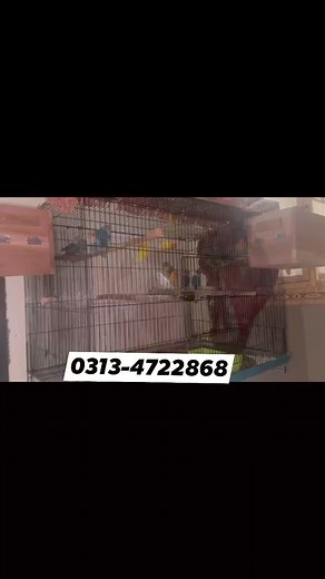 1K views · 11 reactions | Low Investment business plan #mini #shorts #howtostartbusiness | Business talks with MK | Facebook