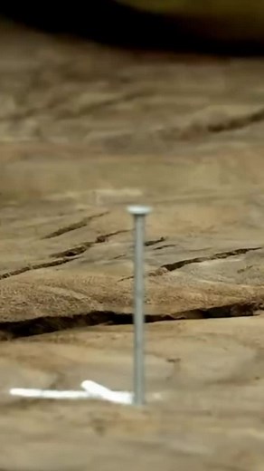 DIY HUGE Protractor! #woodworker #woodworking #diyprotractor #fyp | Blacktail Studio