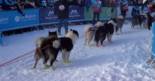 News Quiz | January 29, 2026 | Season 41 | Episode 17