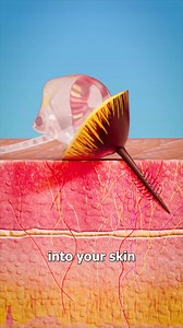 Why Bees Die After They Sting You 😳 | Zack D. Films