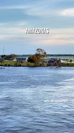 Rio Amazonas. | Amazon Jungle: A Amazônia Incrível