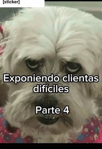 Respuesta a @DMO HS CRIS 🥞 ☘️ Exponiendo clientas difíciles Parte 4😩 #viral #foryou #chisme