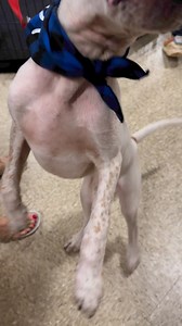 1.5K views · 22 reactions | Calcite wanted to show all his fans what...