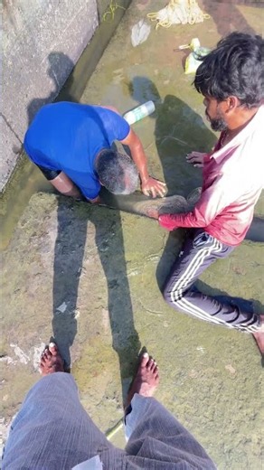 #fishing