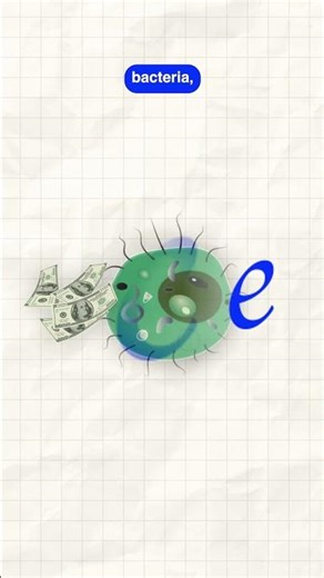 Euler's Number - The Most Important Number in Mathematics! #leonhardeuler #euler #mathematics