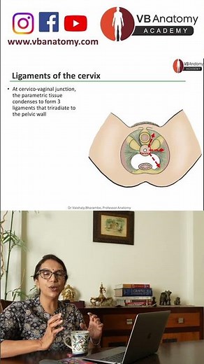 Anatomical perspectives of Uterine prolapse surgery