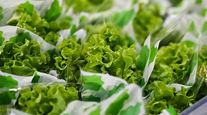 Nearly 100K pounds of salad items recalled because of possible E. coli contamination