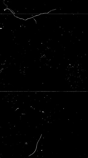 How to Recover Your Passwords with Google Settings on Android. . . . . . . . . . #chatgpt4 #contentcreationtips#chatgpt4 #contentcreationtips #contentcreation #viralréel #manychat #aitools #automation #aiautomation #bestaitools #digitalmarketingtools #writingtools #reelsviral #chatgpt #seotools #aitools #ai #marketingtools #sharingTime #sharingiscaring #contentcreationtips #lifehack #tipsandtrick #usefultips #helpfultips#sharingTime #sharingiscaring #contentcreationtips #lifehack | Digital world