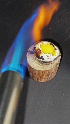 Torch vs Egg — The Reaction Was Totally Unexpected! 🔥🥚