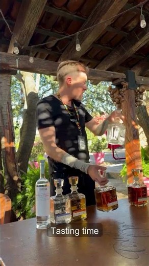 A Day in Mexico's Tequila Country 🥃