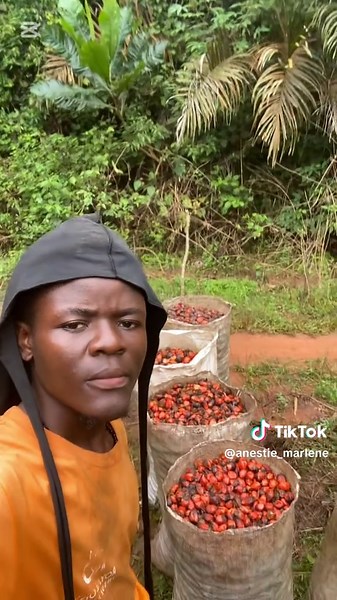 Transformation des noix en huile à Douala