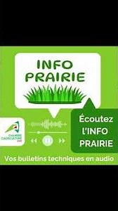 BULLETIN N°17 - SEMAINE N°22
