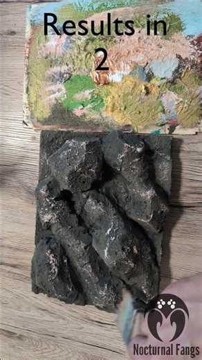 This Rock Wall Changed the Tarantula Enclosure