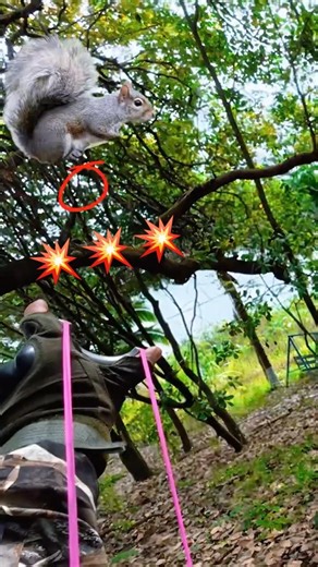 Chỉ 1 Viên || Hunting on The lsland of Joy #huntingbirds #huntingslingshot #fishing
