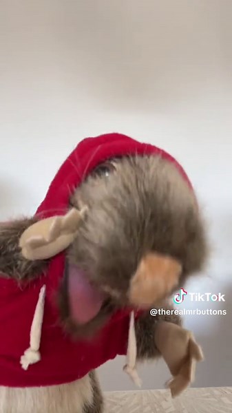 Meet Buttons the Cool Rat: A TikTok Puppet Star