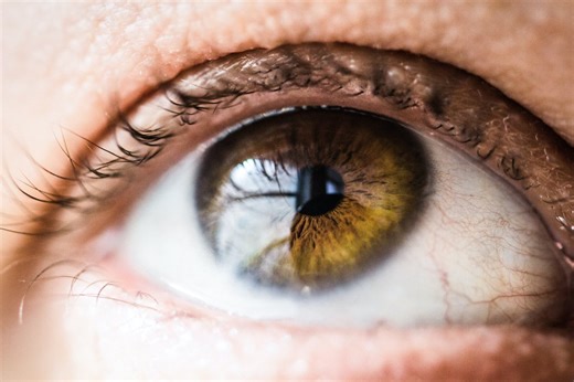Improve Your Eye Health By Eating These Foods