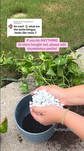 it’s better (and easier) to mix the soil and perlite before repotting the plants 🥲