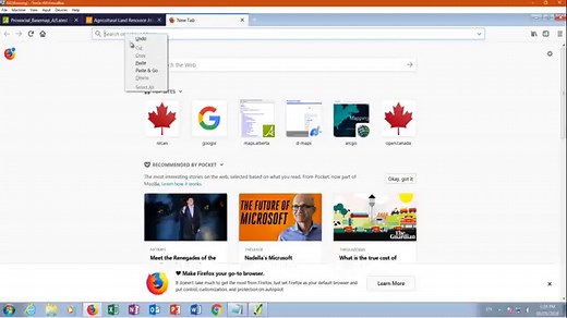 Lesson 8. Web Map Service (WMS). Web Map Tile Service. ArcGIS MapServer. ArcGIS FeatureServer.