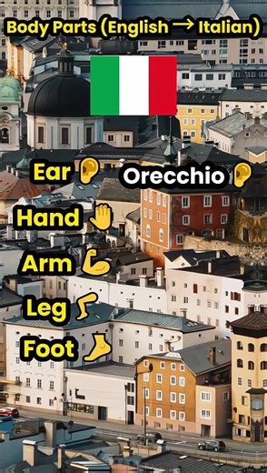 13K views · 453 reactions | Want to improve your Italian vocabulary?...