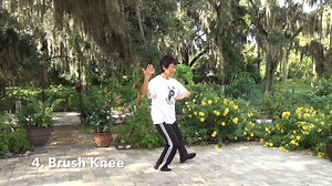 Tai Chi for Beginners: Easy-To-Learn 10 Week Tai Chi Form