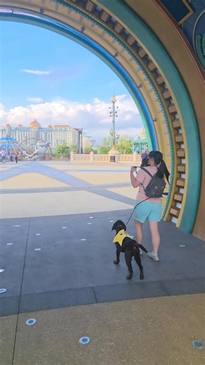 ⭐️ You're Welcome "Pua" ⭐️ MLU Program Service Dog in Training, Pua, showing Universal Studios: Epic Universe what she's made of 🎩 My Life Unleashed Dog Training & Luminary Service Dogs (719) 626-3090 info@mylifeunleashed.biz www.mylifeunleashed.biz | My Life Unleashed Dog Training & Luminary Service Dogs
