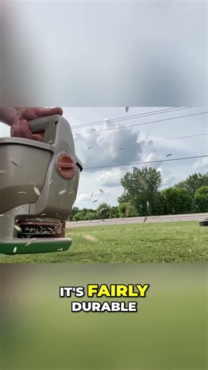 Turf-Type Tall Fescue: The Best Grass Seed? #shorts