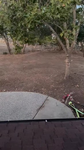 This mountain lion was spotted in Jackson Oaks! Animal control would like you to know the following: * Do NOT hike, bike, or jog at dawn, dusk, or at night. Avoid hiking, biking, or jogging alone. * Deer-proof your property to avoid attracting a lion’s main food source. * Remove dense vegetation from around the home to reduce hiding spaces. * Install outdoor lighting to make it difficult for mountain lions to approach unseen. * Secure livestock and outdoor large pets in sturdy, covered shelters 