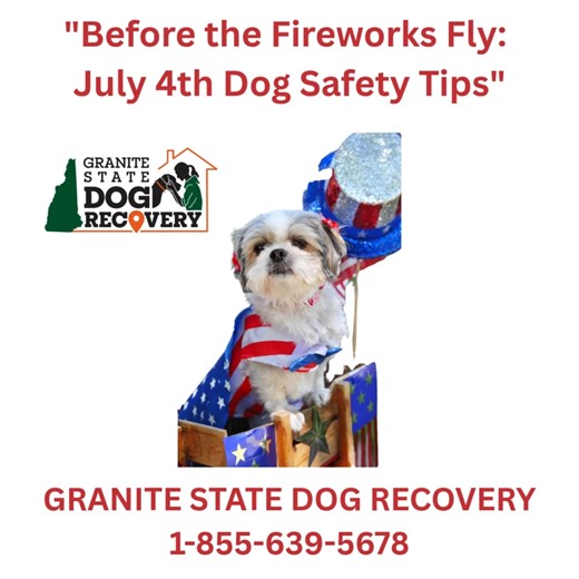 Public Service Announcement – Keep Your Dog Safe This 4th of July From Granite State Dog Recovery As Independence Day approaches, please remember: what’s festive for us can be terrifying for our pets. More dogs go missing on the 4th of July than any other day of the year. To help keep your dog safe: Keep pets indoors – even if they’re usually comfortable outside. Secure all doors, windows, and gates – frightened dogs may bolt. Provide a safe, quiet space – background noise like fans or TV can he