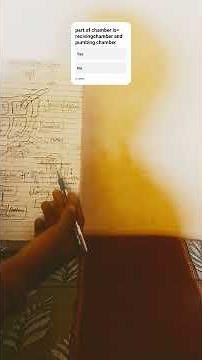 heart pumping system by bylogy dps #pw #smiritimam #khansir