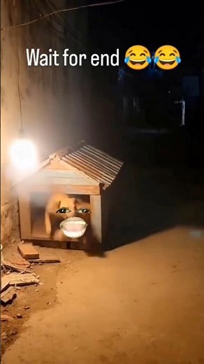 Crazy Funny Face Build 🤪💥 | Try Not To Laugh Challenge 😂 | Funny Face Mix-Up | Viral C"