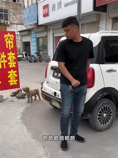 Dogs Voice prank Gone wild🤪 #dogsfunnyvideo #prankwithdog #animals