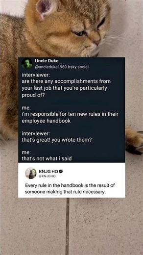 Every rule in the handbook