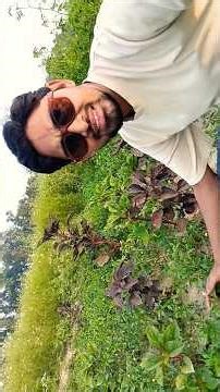We are fascinated by the aroma of coriander #newvideo #vlog #shortvideos #viralvideos #videos #vi...