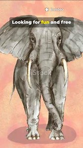 Free Elephant Coloring Pages PDF | Cute & Printable Designs for Kids