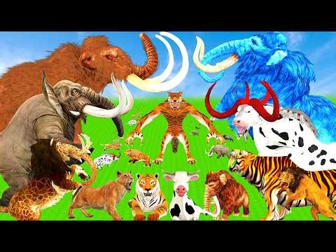 15 Big Bull Mammoth Elephant Cow Vs 10 Giant Lion Tiger Wolf Attack Cow Rescue Saved By Blue Mammoth