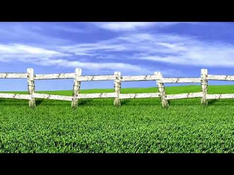 The Biggerfield Company logo Package (2002-Present) (RE-UPLOADED)