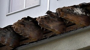 Improper Sealing May Have Led to Deadly Balcony Collapse in Berkeley