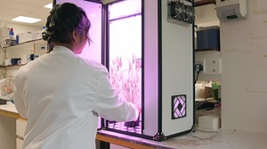 Space-inspired speed breeding for crop improvement | John Innes Centre