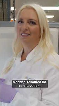 Illumina Single Cell RNA Seq helps advance avian conservation