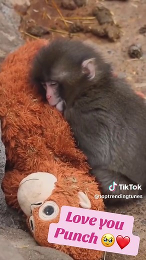 Emotional Moments with A Thousand Years