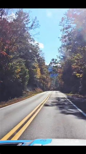 25 reactions · 7 comments | “O Lord, how manifold are thy works! in wisdom hast thou made them all: the earth is full of thy riches.” (Psalm 104:24 KJV) "Fall in Appalachia" | Melissa McDuffy | Facebook