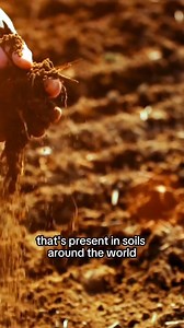 4K reactions · 336 shares | "I went to the moon and back! I feel like...