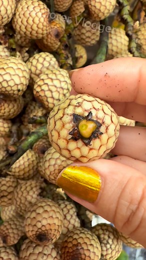 153K views · 464 reactions | Snake Skin Fruit #peeling #rattan #fruits #fruitlover❤️ | Explorer Vlogger | Facebook