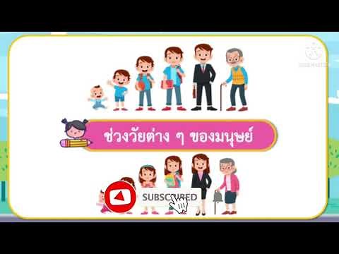สุขศึกษา ป.2 ธรรมชาติของชีวิตมนุษย์ #การเจริญเติบโต #ช่วงวัยต่างๆ #วงจรชีวิตมนุษย์